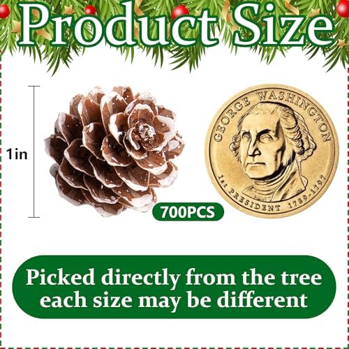 700 Pcs Christmas Natural Mini Pine Cones - Small Xmas Snow Pinecones Decor - Image 2