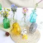 Set of 12 Glass Vases Bud Vases in Bulk, Small Vase for Flowers - Image 6