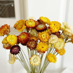 MIHUAGE Dried Flower 40PCS Daisy Bouquet 100% Natural Chrysanthemum Dry Flower for Vase Home décor Party DIY Arrangement Wheat Straw Bulk （Multi-Color） - Image 7