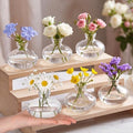 Hushee 12 Pcs Bud Vases Bulk Glass Small Vases for Flowers, Short by Hushee