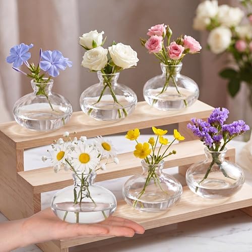 Hushee 12 Pcs Bud Vases Bulk Glass Small Vases for Flowers, Short by Hushee