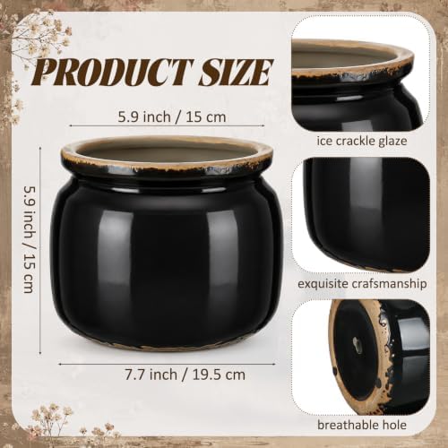 7.7" Large Ceramic Plant Pot Black Vintage Planter Crackle Glaze Decorative Antique Flowers Pot with Drainage for Indoor Outdoor Plants Home Shelf Kitchen Office Patio Decor Gift - Image 2