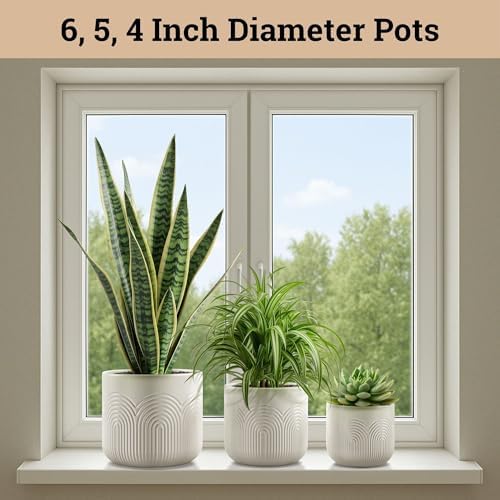 Ceramic Pots for Plants Set of 3, 6, 5, 4 Inch Diameter with Drainage Holes - Image 3