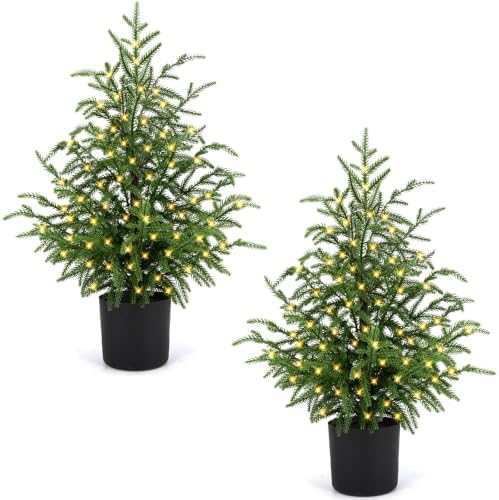ENVEN 2FT Norfolk Pine Christmas Trees – Set of 2 Small Artificial Pre-lit Trees, 30 LED Lights & 8-Mode Battery Box, Pre-Assembled, Xmas Decor for Desks Tabletops Shelves by ENVEN
