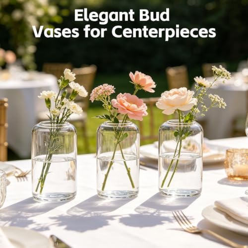 12 Pack Glass Bud Vases for Centerpieces Modern Decorative Vases Clear Small Flower Vase Cylinder Glass Vase for Flowers Mini Candle Vase Clear Table Decor for Wedding Dining Party Home - Image 4
