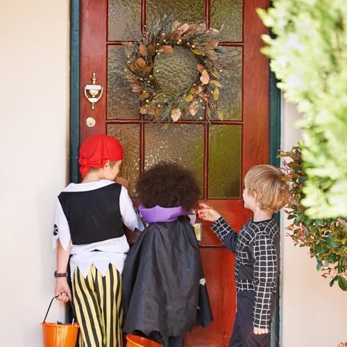 26 Inch Fall Wreath for Front Door Large Full Magnolia Leaf Wreath - Image 7