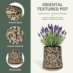 8 Inch Ceramic Planter Pot with Saucer Drainage Leak-Proof Mesh,Flower Pots for Lavender with Gardening Gloves,Ceramic Planter for Orchid(Spotted White) - Image 3