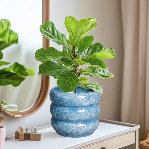 SQOWL 8 Inch Plant Pot with Drainage Hole - Ceramic Pot for Plants Outdoor Planter for Indoor Plants Decorative Plant Pot Medium Flower Pot Round Planter for Bathroom House Decor Blue - Image 6