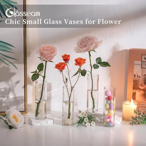 Glasseam Small Glass Flower Vase: 12Pcs Cylinder Bud Vases for Centerpieces - Image 4