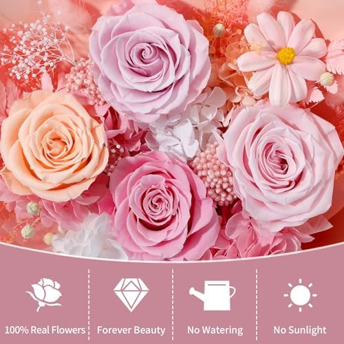 Lewondr Preserved Flowers Bouquet, Pink Roses Forever Flowers for Delivery - Image 4