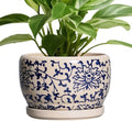 SQOWL Ceramic Planters for Indoor Plants - 8 inch Plant Pot with Drainage Hole and Saucer, Decorative Flower Pot Outdoor, Porcelain Round Planter, Living Room Decor, Gardening Gifts, Blue and Beige by SQOWL