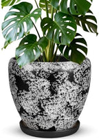 Ceramic Plant Pots With Saucer & Drainage Hole, 6 inch Indoor Flower Pots by Xoogifae
