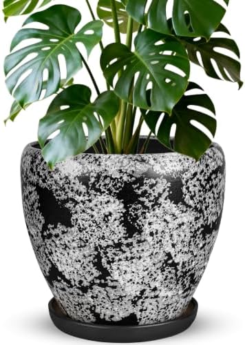Ceramic Plant Pots With Saucer & Drainage Hole, 6 inch Indoor Flower Pots by Xoogifae