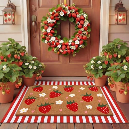 Tinideya 2 23.6 X 35.4 Inches Strawberry Brown Green Red by Tinideya