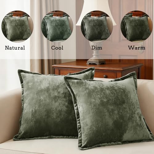Luxurious Velvet Throw Pillow Covers 20x20 Set of 2 Decorative Pillow Covers Solid Square Cushion Case for Sofa Couch Bedroom Farmhouse, Army Green - Image 2