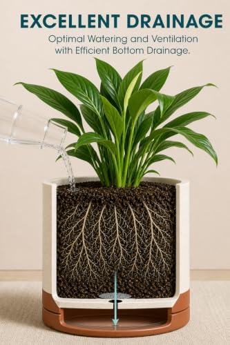 vancasso Ceramic Plant Pots, 3 Piece Planters for Indoor Plants, Khaki - Image 3