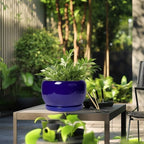 SQOWL Ceramic Plant Pot - 10 Inch Ceramic Planter for Indoor Outdoor, Round Flower Pot with Drainage Hole and Saucer, Modern Decorative Large Planter, Garden Decor, Plant Lover Gifts, Blue - Image 5