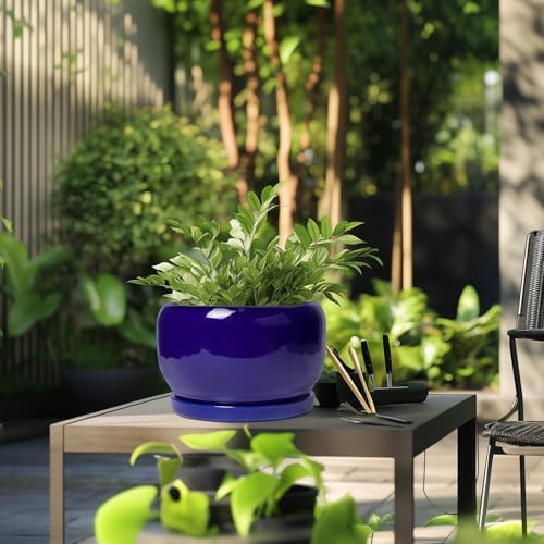 SQOWL Ceramic Plant Pot - 10 Inch Ceramic Planter for Indoor Outdoor, Round Flower Pot with Drainage Hole and Saucer, Modern Decorative Large Planter, Garden Decor, Plant Lover Gifts, Blue - Image 5