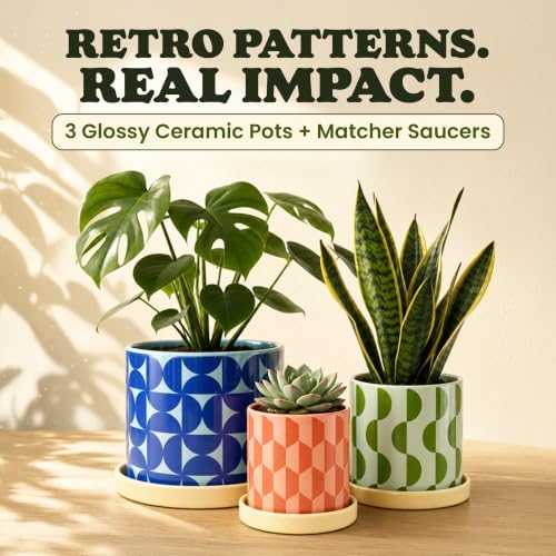 Original Earthlings Ceramic Plant Pots, Indoor Planters - Set of 3 - Image 2