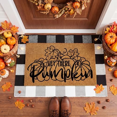 Moucuny 2 Pcs Fall Front Door Mat, Coir Welcome Doormat Outdoor, Non Slip - Image 4