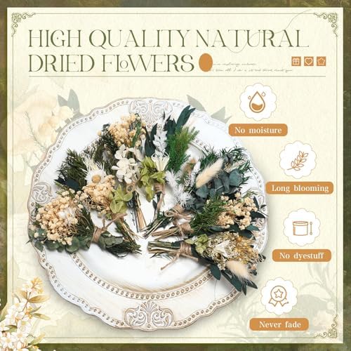 Layhit 24 Pcs Mini Dried Flower Bouquets Boho for Vase, Greenery - Image 4