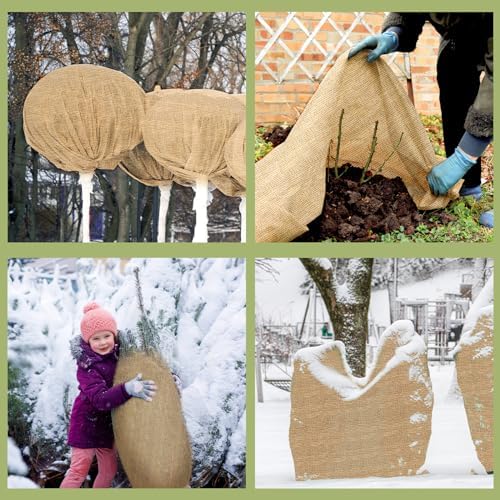 Buryeah 2 Pack 60 Inch X 50 ft Burlap Fabrics Roll Natural Jute Garden - Image 4