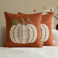 Embroidered Fall Throw Pillow Covers,18x18 Inch Set of 2,Rust Cable by HOME