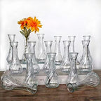 Sandraheer Glass Bud Vases in Bulk Set of 16, Small Glass Vases for Flowers， Mini Clear Bud Vases for Centerpieces Vintage Vases for Wedding Home Table Decorations by Sandraheer