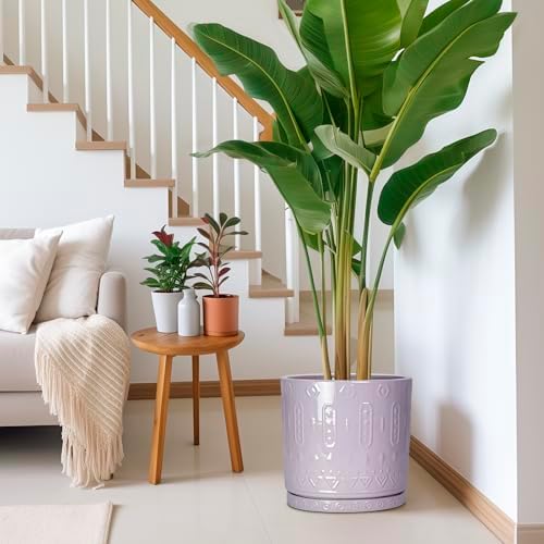 Eightpot Ceramic Plant Pots, 12 Inch Pots for Plants Indoor Outdoor, Round Planter with Drainage Hole and Tray, Modern Decorative Flower Pot, Home Apartment Decor, House Warming Gifts, Purple - Image 6