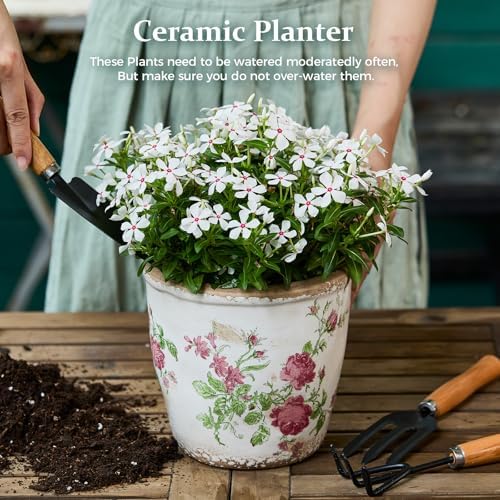 Vintage Ceramic Planter with Drainage Hole, Plastic Tray & Mesh, 6.5 Inch - Indoor/Outdoor Flower Pot, Pink Floral Rustic Farmhouse Design Plant pot for Home, Office & Garden Décor, Ideal Gift - Image 2