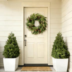 26" Norfolk Pine Wreath, Large Greenery Wreath for Front Door, Green Year Round Real Touch Artificial Greenery Wreath for Wall Porch Rustic Farmhouse Home Decor, with Lights, Red Bow, FF10 - Image 3