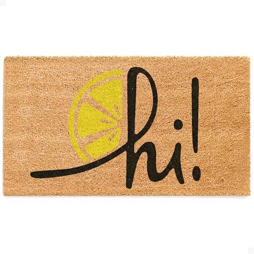 THEODORE MAGNUS Door Mat - Welcome Mat for Front Door with Non-Slip Backing - Durable Spring & Summer Doormat - Perfect for Outside Entrance Matt - Outdoor/Indoor - Zesty hi! - 17" x 30" by TheodoreMagnus