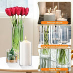 64 Pack Glass Cylinder Vases 4,6,8,10 Inch Tall Clear Flower Vase Hurricane Floating Candle Holder for Table Centerpiece Wedding Home Decor - Image 3