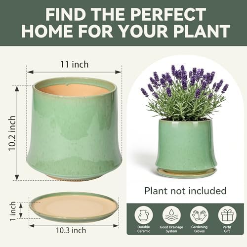 11 Inch Ceramic Planter Pot with Saucer Drainage Leak-Proof Mesh,Flower Pots for Lavender with Gardening Gloves,Ceramic Planter for Orchid (Light Green) - Image 6
