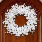 GTIDEA Summer Wreath, 24" Summer Door Wreath for Front Door Wreath, White by GTIDEA