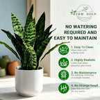 Fake Snake-19”tall Artificial Indoor Potted Plant for Home Decor-Green - Image 3