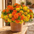 lovemoon 12 Pcs Artificial Mums for Outdoors, Fake Fall Flowers for Autumn by Lovemoon