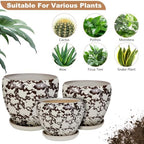 Ceramic Plant Pots With Saucer & Drainage Hole, 10 inch Indoor Flower Pots - Image 5