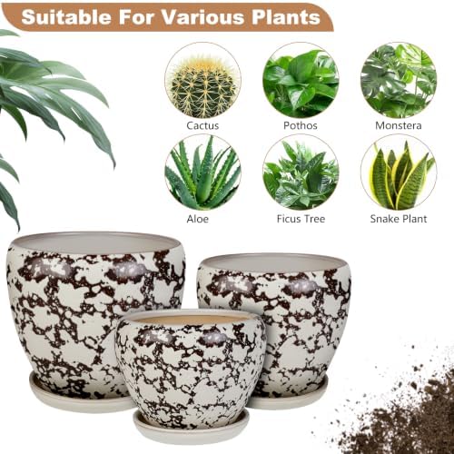 Ceramic Plant Pots With Saucer & Drainage Hole, 10 inch Indoor Flower Pots - Image 5