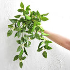 FiveSeasonStuff Watermelon Peperomia Real Touch Hanging Plant, 2 Stems - Image 3