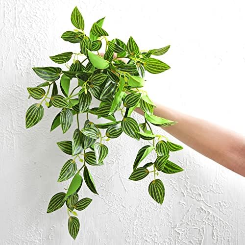FiveSeasonStuff Watermelon Peperomia Real Touch Hanging Plant, 2 Stems - Image 3