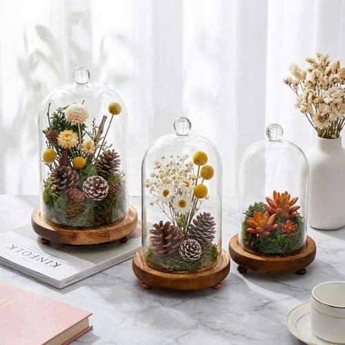 Pumtus 3 Sizes Cloche Glass Dome, Tall Glass Bell Display Case with Wooden Base & Handle, Dustproof Clear Decorative Jar for Plants, Medal, Photo, Home Party Wedding Decor Gift (4.7''/3.9''/3.5'') - Image 6