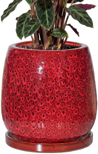 10.3 Inch Ceramic Glaze Plant Pot with Saucer, Flower Pots with Drainage Hole Mesh Net (Spot Red) by Unknown