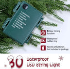ENVEN 2FT Norfolk Pine Christmas Trees – Set of 2 Small Artificial Pre-lit Trees, 30 LED Lights & 8-Mode Battery Box, Pre-Assembled, Xmas Decor for Desks Tabletops Shelves - Image 3