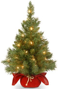 National Tree Company 24in Pre-Lit Majestic Fir Mini Christmas Tree by Unknown