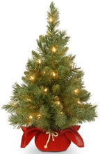 National Tree Company 24in Pre-Lit Majestic Fir Mini Christmas Tree by Unknown