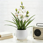 Fake Orchid Plant 19" Tall, Realistic Touch Leaves, Potted Cymbidium Artificial Plants Indoor for Home Decor Small Office Home Living Room-White - Image 6