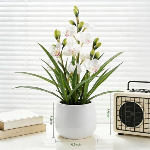 Fake Orchid Plant 19" Tall, Realistic Touch Leaves, Potted Cymbidium Artificial Plants Indoor for Home Decor Small Office Home Living Room-White - Image 6