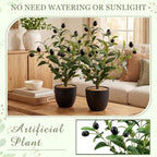 Giegxin 2 Pack 15.8 Inch Small Artificial Olive Tree Indoor 40cm Faux Olive Plant with Black Pot for Home Office Room Table Modern Decor - Image 4