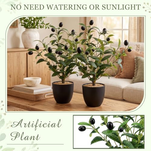 Giegxin 2 Pack 15.8 Inch Small Artificial Olive Tree Indoor 40cm Faux Olive Plant with Black Pot for Home Office Room Table Modern Decor - Image 4